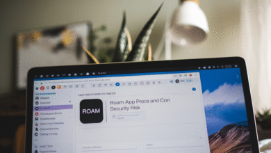 Roam App Procs and Con Security Risk